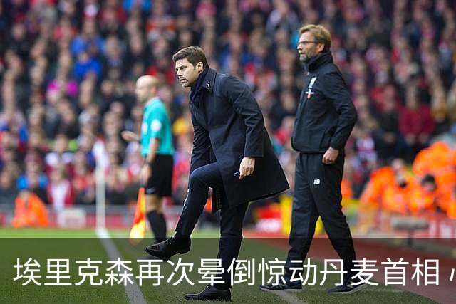 埃里克森再次晕倒惊动丹麦首相 心脏除颤器发挥作用