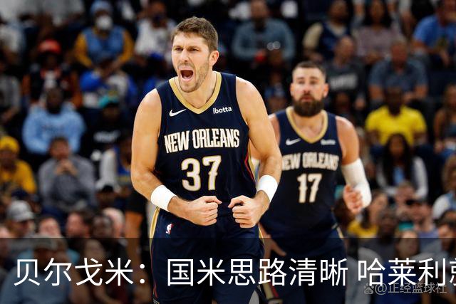 贝尔戈米：国米思路清晰 哈莱利就像阿什拉夫 防线引援选卢库米